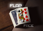 Гиммик флеп (Flap)