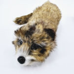 Енот (Rocky Racoon)