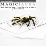 Карточный набор "Паук"