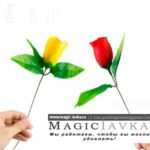 Роза меняющая цвет