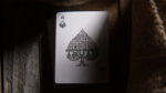 Карты Truth Playing Cards (I Never Believe Me) — изображение 4