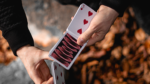 Карты Parallax Playing Cards – Игральные карты — изображение 5