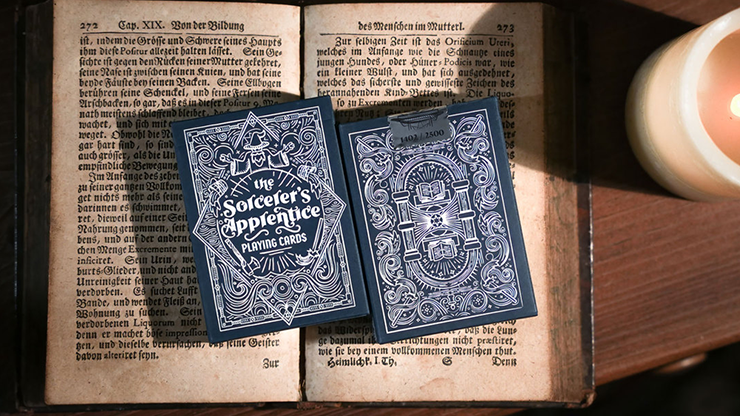 73809-full Карты Sorcerer’s Apprentice