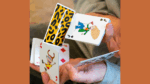 Карты Fontaine Nickelodeon: Thornberries Playing Cards — изображение 3