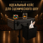 Профессиональный кейс иллюзиониста от Всемогусева — изображение 9