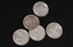 Монетный сет Morgan Dollar Shell and Coin Set (5 Coins + 1 Head Shell + 1 Tail Shell) — изображение 6