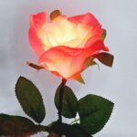Светящаяся роза с магнитной активацией Lighting Rose (Magnetic Control)