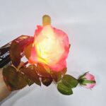 Светящаяся роза с магнитной активацией Lighting Rose (Magnetic Control)